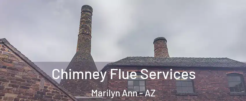 Chimney Flue Services Marilyn Ann - AZ
