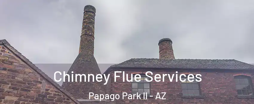 Chimney Flue Services Papago Park II - AZ