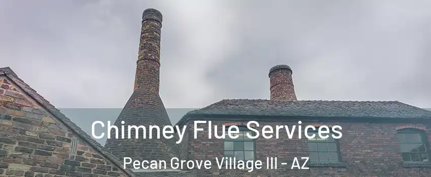 Chimney Flue Services Pecan Grove Village III - AZ