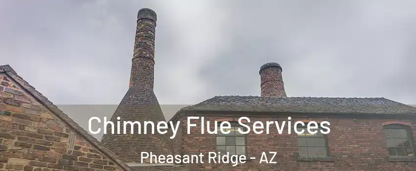 Chimney Flue Services Pheasant Ridge - AZ