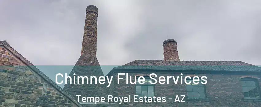 Chimney Flue Services Tempe Royal Estates - AZ