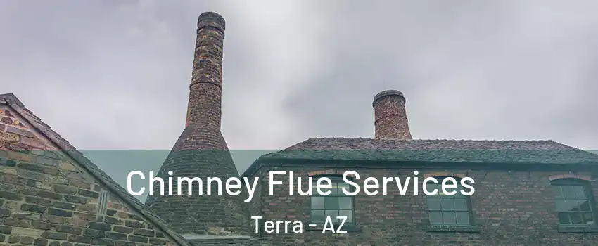 Chimney Flue Services Terra - AZ