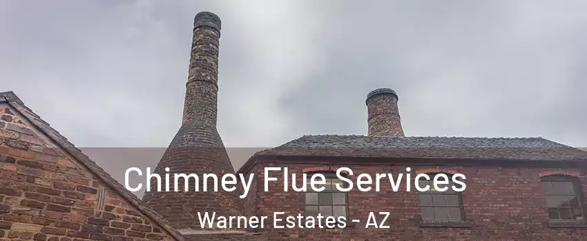 Chimney Flue Services Warner Estates - AZ