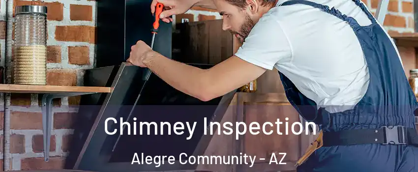 Chimney Inspection Alegre Community - AZ