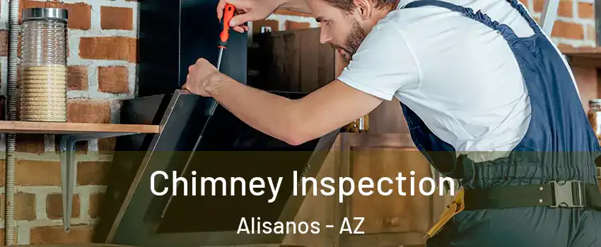 Chimney Inspection Alisanos - AZ