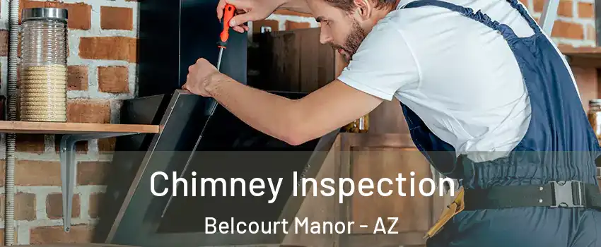 Chimney Inspection Belcourt Manor - AZ
