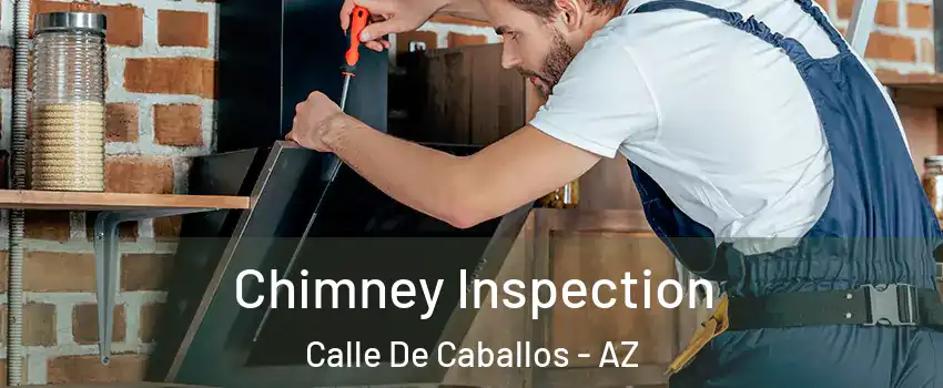 Chimney Inspection Calle De Caballos - AZ