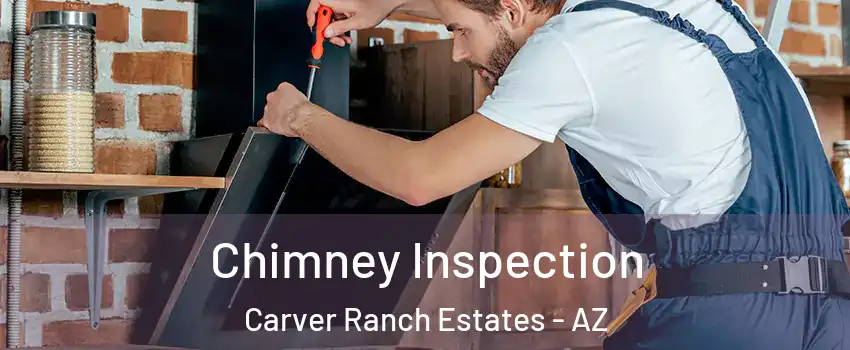 Chimney Inspection Carver Ranch Estates - AZ