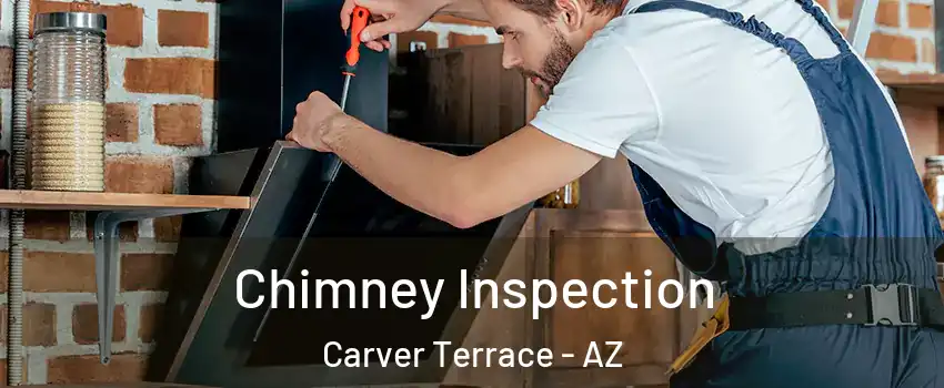 Chimney Inspection Carver Terrace - AZ