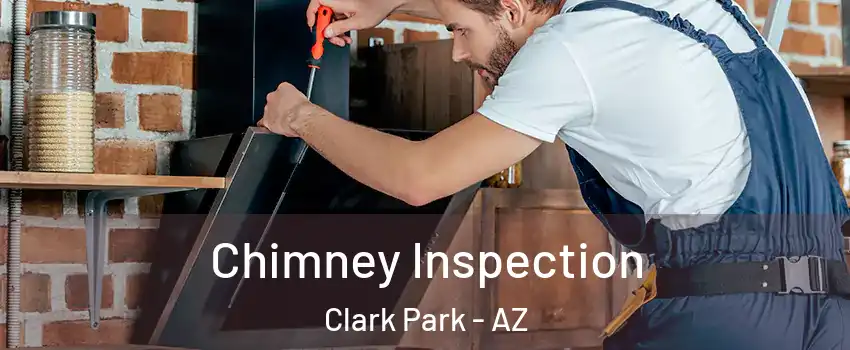 Chimney Inspection Clark Park - AZ