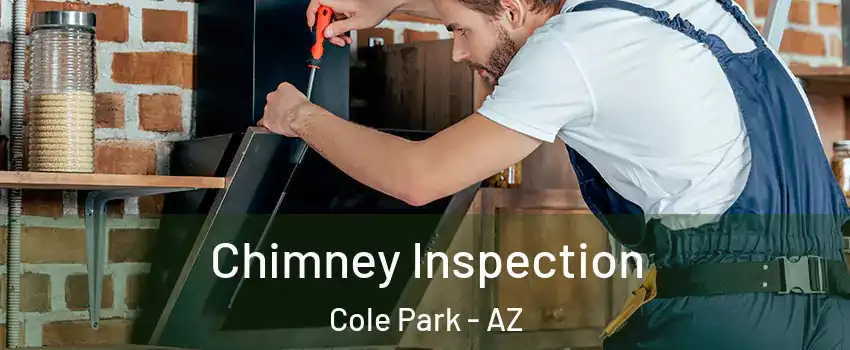 Chimney Inspection Cole Park - AZ