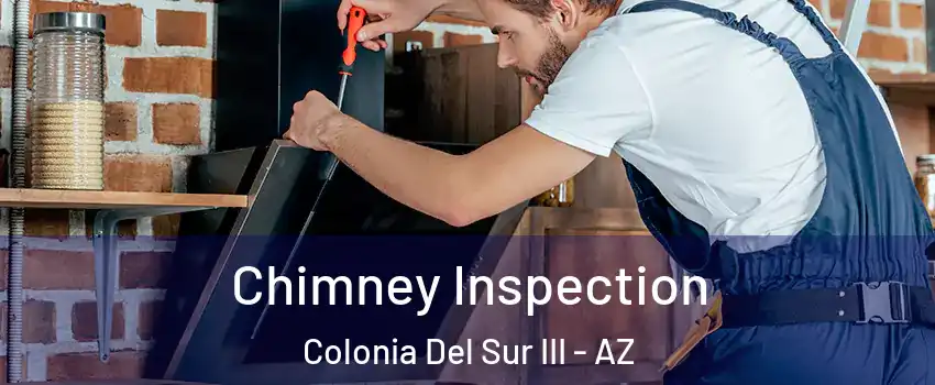 Chimney Inspection Colonia Del Sur III - AZ