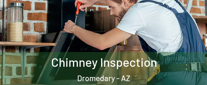 Chimney Inspection Dromedary - AZ