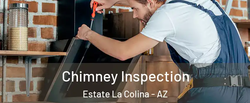 Chimney Inspection Estate La Colina - AZ