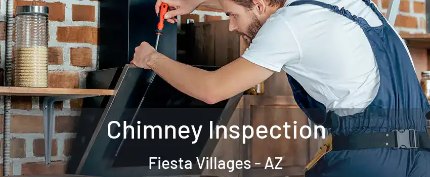 Chimney Inspection Fiesta Villages - AZ
