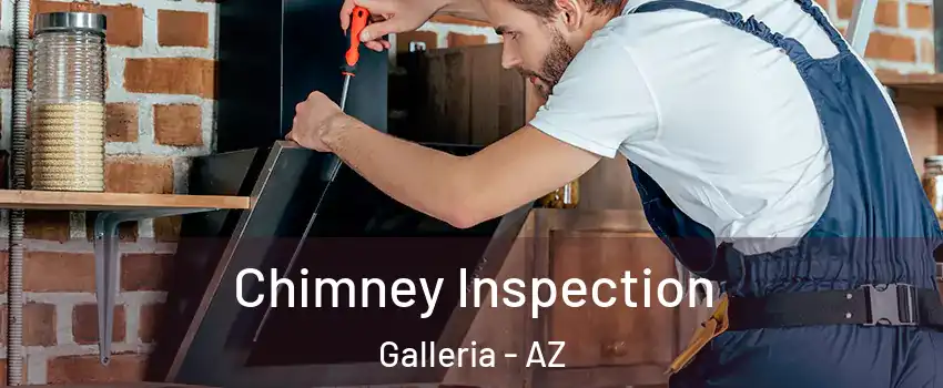 Chimney Inspection Galleria - AZ