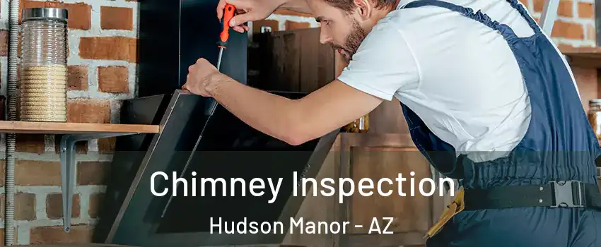 Chimney Inspection Hudson Manor - AZ