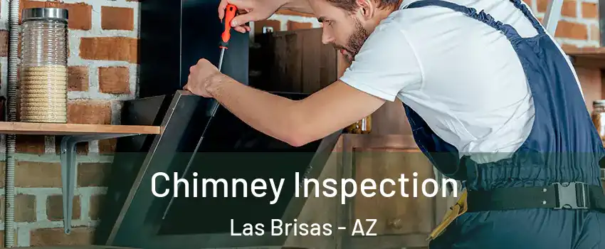 Chimney Inspection Las Brisas - AZ