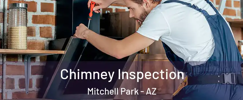 Chimney Inspection Mitchell Park - AZ