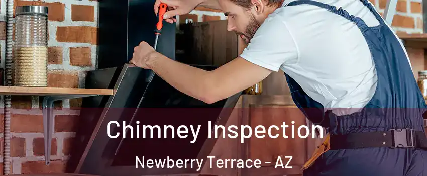 Chimney Inspection Newberry Terrace - AZ