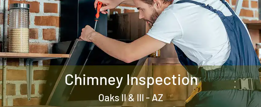 Chimney Inspection Oaks II & III - AZ