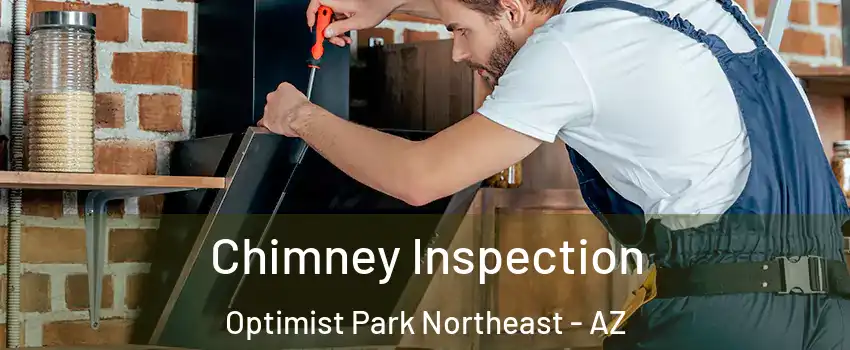 Chimney Inspection Optimist Park Northeast - AZ