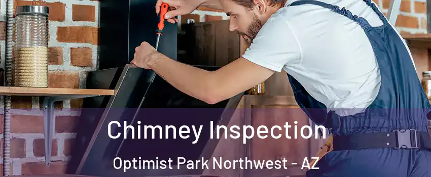 Chimney Inspection Optimist Park Northwest - AZ