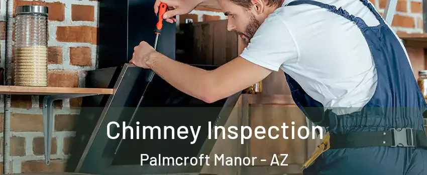 Chimney Inspection Palmcroft Manor - AZ