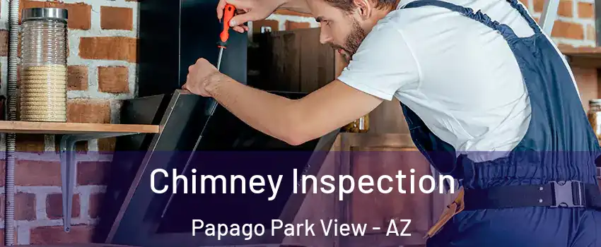 Chimney Inspection Papago Park View - AZ