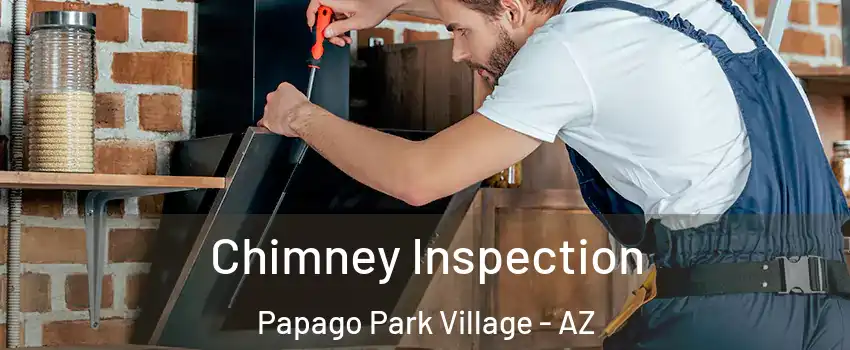 Chimney Inspection Papago Park Village - AZ