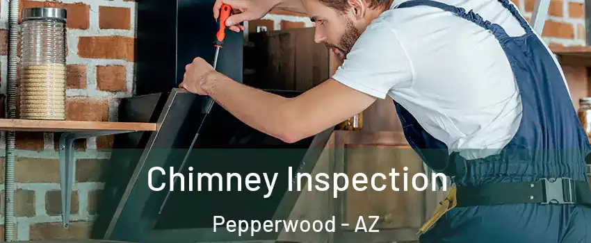 Chimney Inspection Pepperwood - AZ