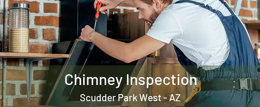 Chimney Inspection Scudder Park West - AZ