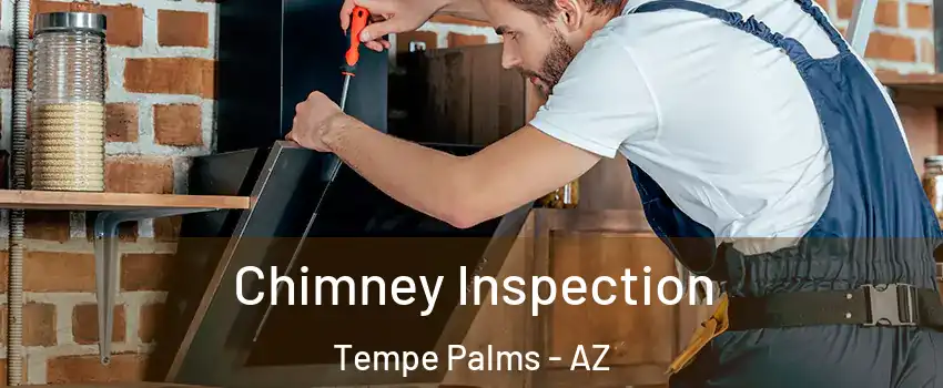 Chimney Inspection Tempe Palms - AZ