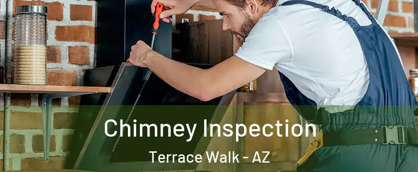 Chimney Inspection Terrace Walk - AZ