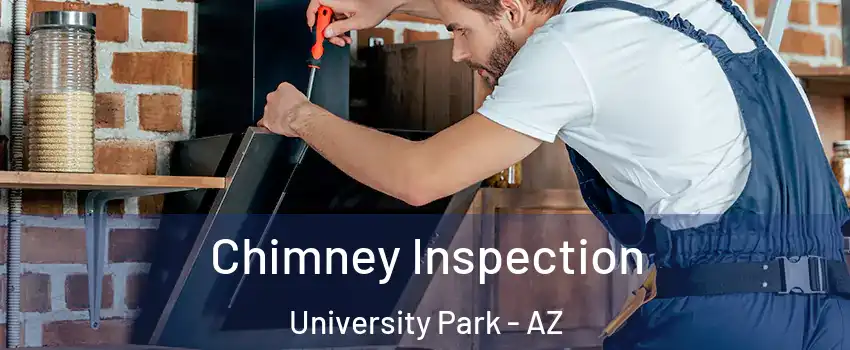 Chimney Inspection University Park - AZ