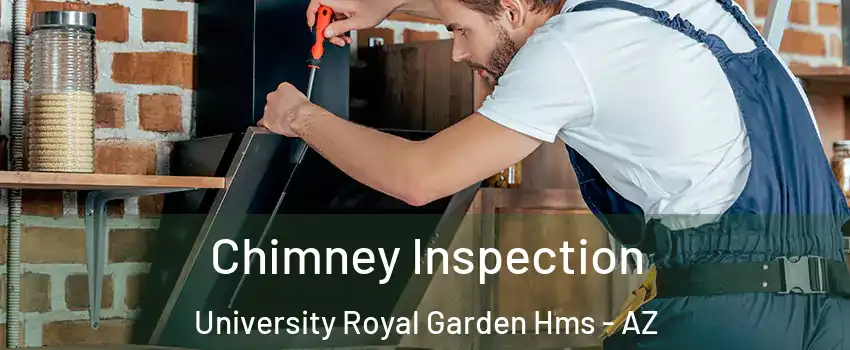 Chimney Inspection University Royal Garden Hms - AZ
