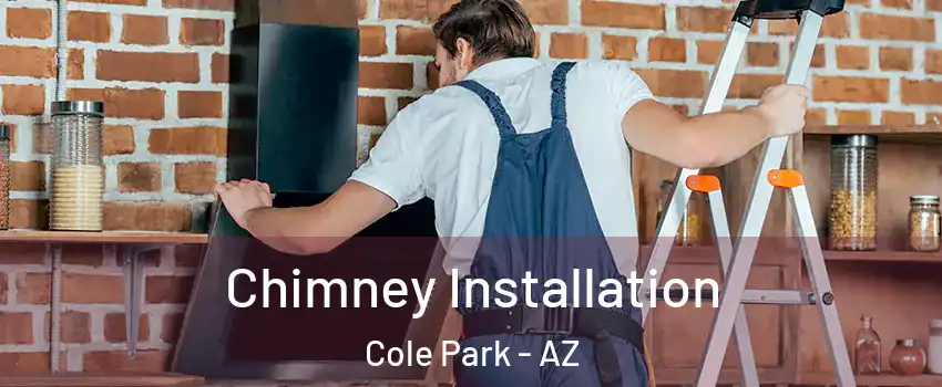 Chimney Installation Cole Park - AZ