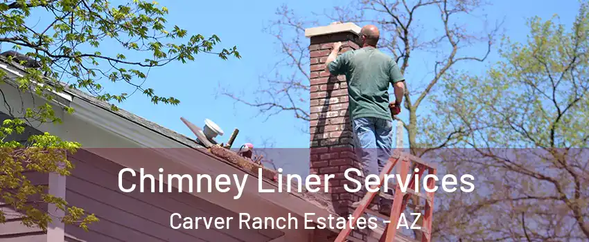 Chimney Liner Services Carver Ranch Estates - AZ