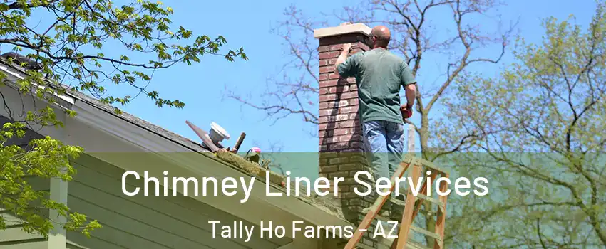 Chimney Liner Services Tally Ho Farms - AZ