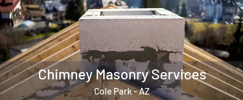 Chimney Masonry Services Cole Park - AZ