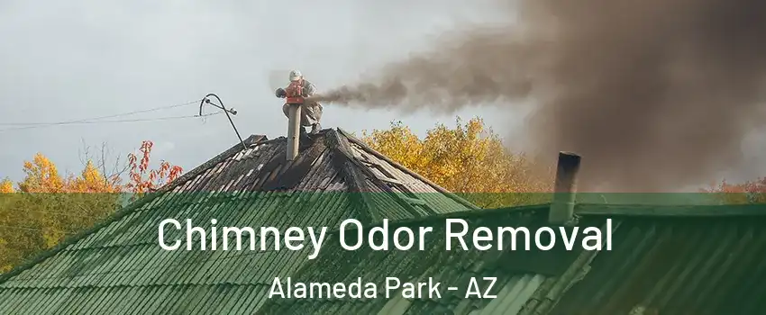 Chimney Odor Removal Alameda Park - AZ