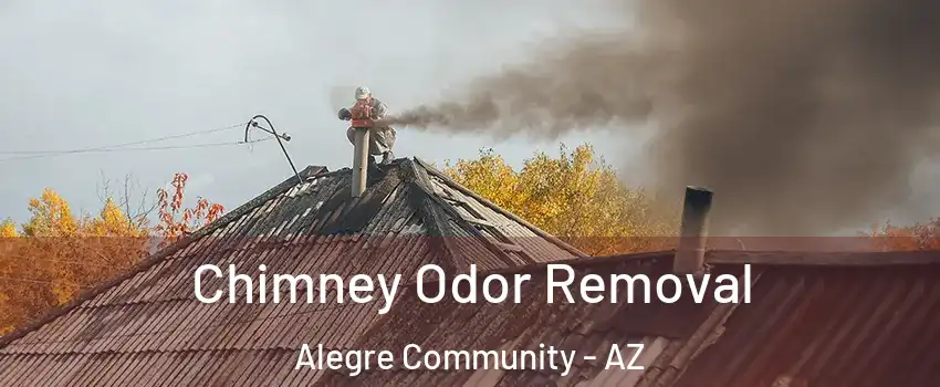 Chimney Odor Removal Alegre Community - AZ