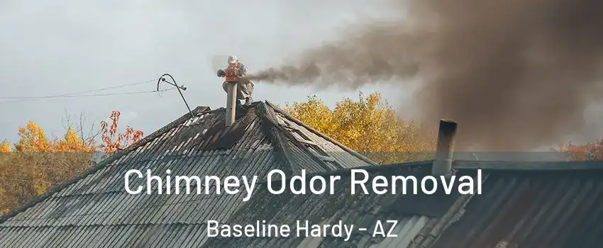Chimney Odor Removal Baseline Hardy - AZ