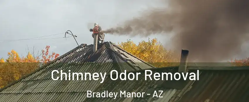 Chimney Odor Removal Bradley Manor - AZ