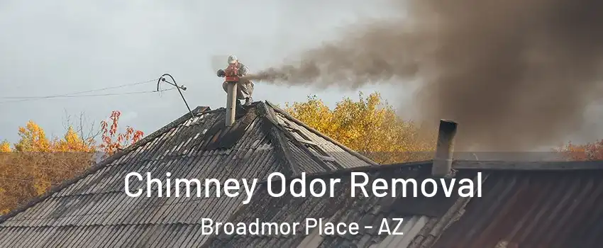 Chimney Odor Removal Broadmor Place - AZ