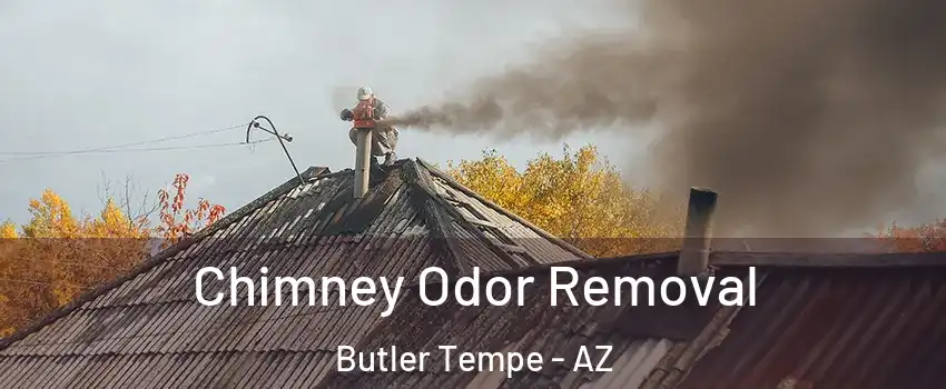 Chimney Odor Removal Butler Tempe - AZ