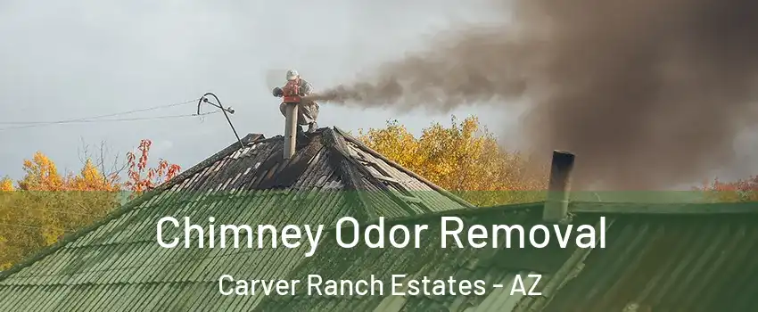 Chimney Odor Removal Carver Ranch Estates - AZ