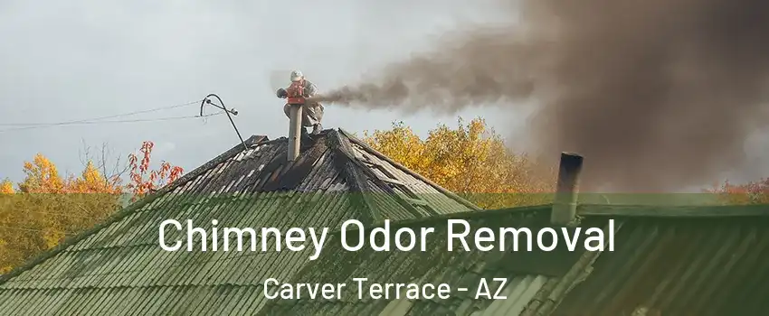 Chimney Odor Removal Carver Terrace - AZ