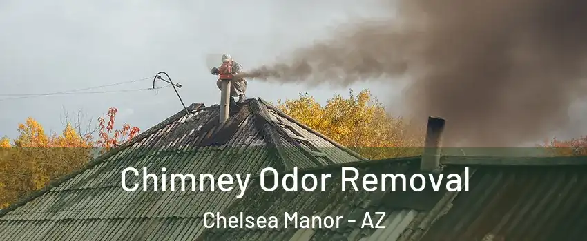 Chimney Odor Removal Chelsea Manor - AZ
