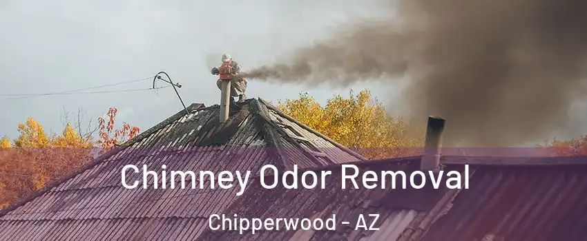 Chimney Odor Removal Chipperwood - AZ